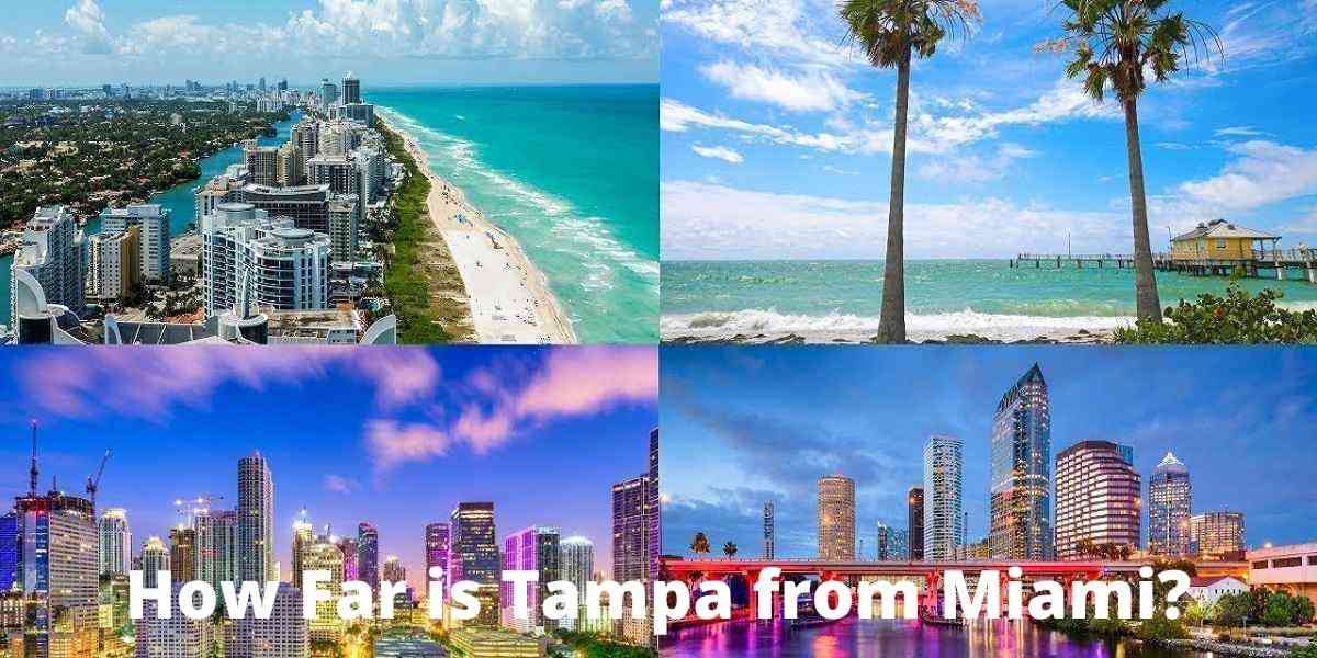 How Far is Tampa from Miami by Different Means of Transport
