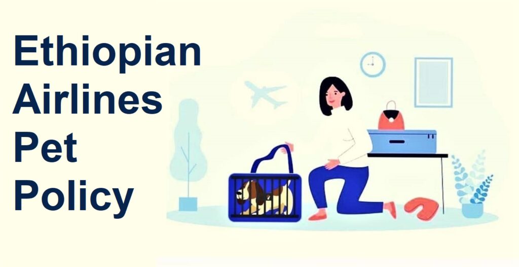How to carry Pets on Ethiopian Airlines