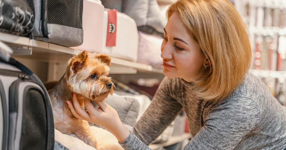 eurowings pet policy